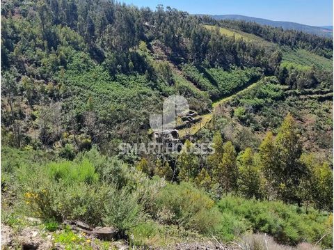 Land with about 3 hectares (land area of 29,754.97m2) in Demieiro, overlooking Cerdeira. Spectacular views over Coja and the entire valley of the river Alva. The property was an old rural house, of which there are 4 duly registered ruins with a const...