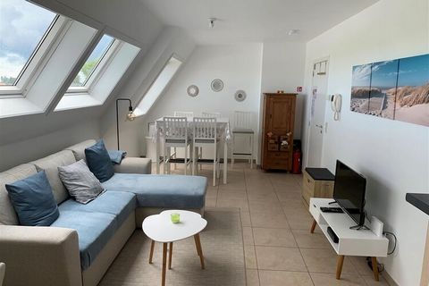 Spacious duplex apartment for 4 people. a stone's throw from Nieuwpoort City on the 2nd floor, elevator available. The bedroom has a double bed, the living room has a sofa bed. The bathroom has a single sink, toilet and bath. A large terrace accessib...