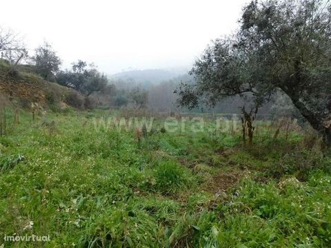 Agricultural land with 5000m². Location close to Souto da Casa. Highlight for the ruins and the fertile soil with culture. The accesses are on dirt.