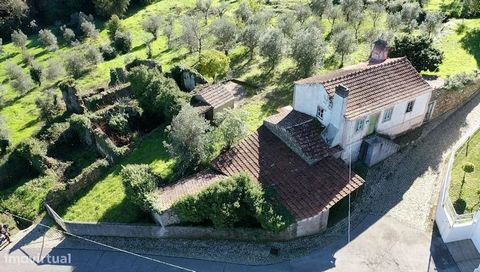 Esta é uma Bela Quinta rural e antiga para ser restaurada a seu gosto e imaginação. Com um terreno com muita privacidade e uma bela vista sobre a serra, tem tudo para a transformar numa quinta acolhedora. Os vários pormenores, como lareiras antigas, ...