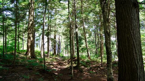 Investeer in de toekomst van milieuvriendelijke glamping! Ontdek een uitzonderlijk project genesteld in het hart van de natuur van Quebec in Le Vertendre. Stelt u zich eens voor dat u een cabine op zonne-energie bezit, harmonieus geïntegreerd in een ...