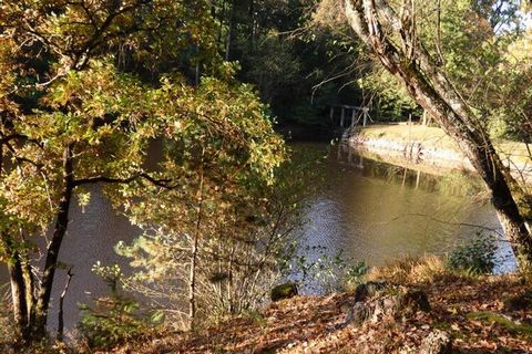 Il tuo ospite: YVETTE E GUY SONO FELICI DI CONDIVIDERE IL LORO AMORE PER L'AMORE PER IL LORO MULINO CON IL SUO LAGHETTO E LA CASCATA DEI PESCI. AMBIENTE DI VERDE E OMBRA. SENZA DIMENTICARE L'IMPERDIBILE PARCO ANIMALE LE PAL Grande gîte nella casa del...