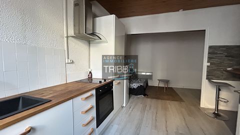 Kom en ontdek bij TRIBBU, dit charmante dorpshuis van ongeveer 52 m2 ideaal gelegen in het hart van Le Soler in de directe nabijheid van alle voorzieningen. Deze woning bestaat op de begane grond uit een doucheruimte, een apart toilet en een wasruimt...