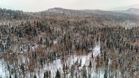 Occasion unique! Vous rêvez d'un domaine privé depuis des années? Avantageusement situé dans le secteur très recherché de la Vallée Autrichienne à Lac-Beauport! À quelques minutes des services, écoles, autoroute et du centre-ville de Québec! Magnifiq...