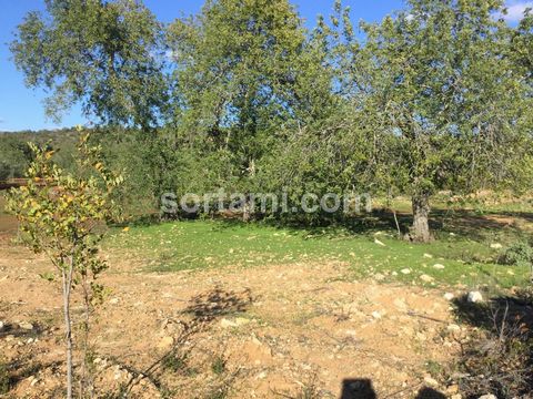 Land in Boliqueime, in a fantastic location.This land is inserted in a green area, just five minutes from the center of Boliqueime. Very fertile soil and flat slope.Easy access via a tar road.Excellent investment for those looking for land for agricu...