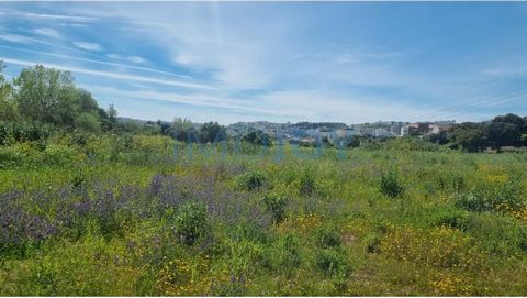 With a strategic location and several possibilities of use, this land is the opportunity you have been waiting for to invest in your future. Since it can become the home of your dreams, surrounded by a quiet and spacious landscape, with ample space f...