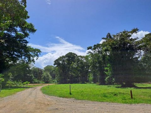 Varios lotes de tierra disponibles, ideales para construir la casa de tus sueños. Estos lotes varían en tamaño, proporcionando opciones para adaptarse a diferentes necesidades y preferencias. El lote mas pequeno mide 631m2 y el mas grande 1435m2. El ...