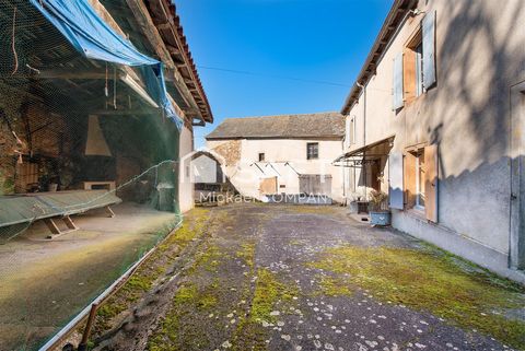 photo no. 2