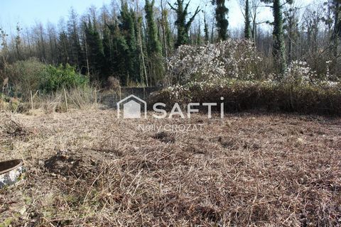 photo no. 2