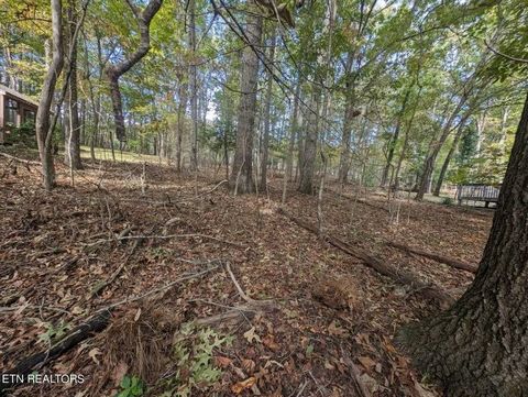 Découvrez l’occasion idéale de construire la maison de vos rêves dans le quartier pittoresque de Fairfield Glade. Ce terrain de 0,24 acre est niché dans une communauté sereine connue pour sa beauté naturelle et ses installations récréatives. Profitez...