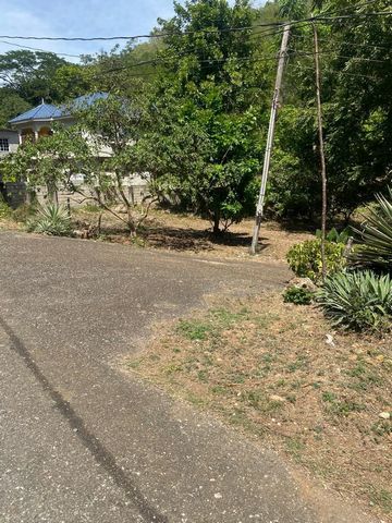 This property just South of Turners Four Paths (~13km south of Bushy Park) which is a mixed residential/ agricultural rural community. This property has a 2 large plateaus/ large fields on 2 different levels with Rio Mino is close by. This property a...