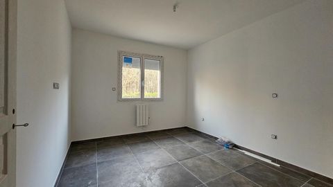 photo no. 4