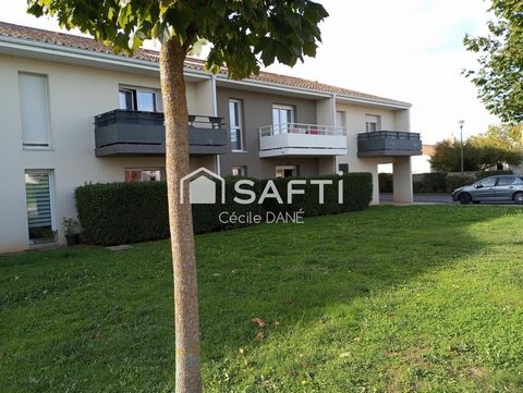 Nouveauté à découvrir sans tarder !!