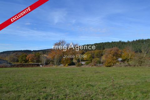 TERRAIN CONSTRUCTIBLE DE 5151 M2 SUR LACOMBE