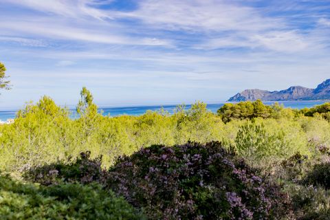Large rustic finca on a flat plot with spectacular views of the mountains and a short distance from the sea in the paradisiacal Son Serra de Marina. The minimum plot size is 50,000m2, the minimum size in the area to be able to build a 300m2 house as ...