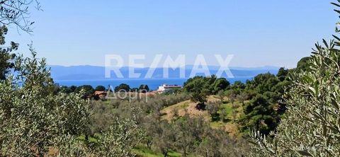 Property Code. 22813-5937 - Exclusivity Agricaltural Platanias FOR SALE. Size: 5262 sq.m, Distance from sea 1100 meters Distance from city 5200 meters Distance from airport 9200 meters Price140.000 €