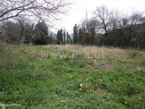 Land with 1,000 m2 in Fornelos Land with: Feasibility of construction, Good access, Views Fantastic sun exposure, Proximity to the City. Parish of Fornelos Celebrated for the famous sponge cake, Solar da Luz and Santa Rita Hydroelectric Power Plant, ...