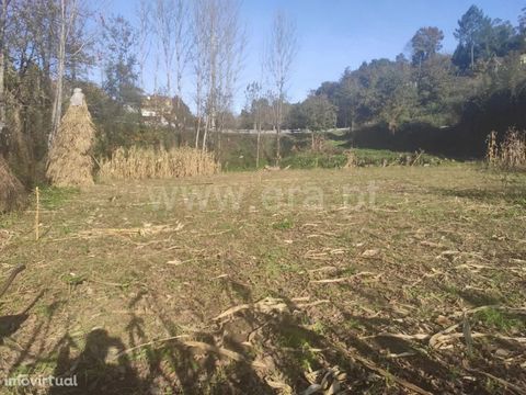 Land in Fornelos Land with an area of 1,440 m2, with good access, excellent sun exposure, close to residential area. The property is favored by the excellent location, since it is only 5 minutes from Fafe. Buy with ERA Fafe ERA Fafe opened its doors ...
