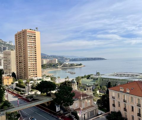 Ideally located between Boulevard des Moulins and the Larvotto beaches. Magnificent apartment, located on a high floor, completely renovated. The property is composed of an entrance hall, a large equipped kitchen, a living room leading on to a terrac...