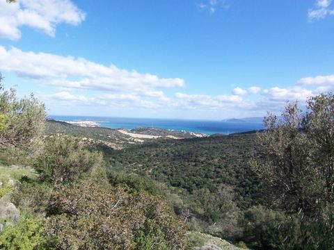 Located in Agios Nikolaos. Large building land of 9091 sq. meters with sea and mountain views in the area of Mardati, a 5 minute drive to the modern tourist town of Agios Nikolaos. It is possible to build a house or houses of a total of 262 m2 plus b...