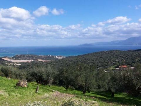 Grundstück mit freiem Meer- und Bergblick in der Gegend von Mardati, weniger als 5 Autominuten von der modernen Touristenstadt Aghios Nikolaos und mehreren Sandstränden entfernt. Es ist erschlossen für den Bau eines Hauses oder von Häusern mit einer ...