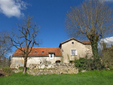 In a small village in the Lot, 7 km from Limogne en Quercy, this house offers all the comfort and calm with a view of the garden. You enter through the veranda equipped with a barbecue, to access the house. A large open living room/kitchen, crossing,...
