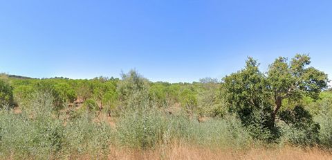 This is an excellent real country estate with 71.45 hectares, consisting of hill and land next to Cercal do Alentejo. This set is divided into two buildings, one rustic building with 67.44 hectares and a mixed building with 4 hectares and 129 m2 of h...