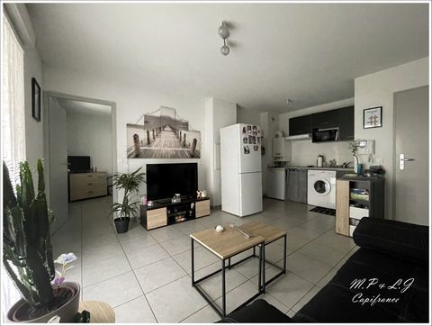 Dpt Vaucluse (84), à vendre AVIGNON appartement T2 de 36 m2