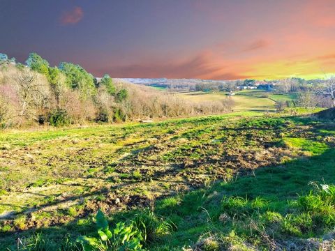 Marc Bouillant, agent för Global Immobilier-nätverket, erbjuder dig i en grön miljö i Chalosse Landaise, mellan Pau och Mont de Marsan, långt från grannarna men nära stadens bekvämligheter, denna vackra före detta boskapsfarm förvandlad till en hästf...