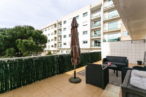 Property ID: ZMPT565322 Descriptive: Urbanization of the Passionists, in S.M.Feira. 3 bedroom apartment suite, with terrace 30 m2. Located at 109 rue Joué Les Tours. https://maps.app.goo.gl/kh5TChG8gjy6knRw7 Apartment inserted on the ground floor. Co...