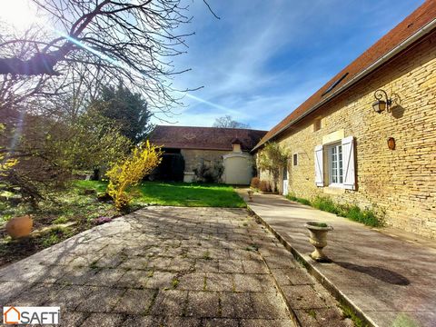 15 minutes from amenities, very pretty Champagne house of approximately 157m² on enclosed land with trees and orchard of approximately 2250m² in the heart of a wine-growing village with grocery store. On the ground floor, large and bright equipped ki...