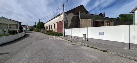 Investment opportunity. ✅Pavilion with 925m2 of total covered area, close to Torres Novas and the access to the A1 with connection to Lisbon, Coimbra and Porto and A23 with connection to Castelo Branco, Covilhã and Guarda. ✅Inside there is a wine pre...