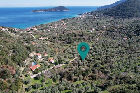 Property Code. 11510 - Agricultural FOR SALE in Thasos Koinira for €90.000 . Discover the features of this 4892 sq. m. Agricultural: Distance from sea 650 meters, Facade length: 66 meters, depth: 70 meters The office of Thassos Realestate is located ...