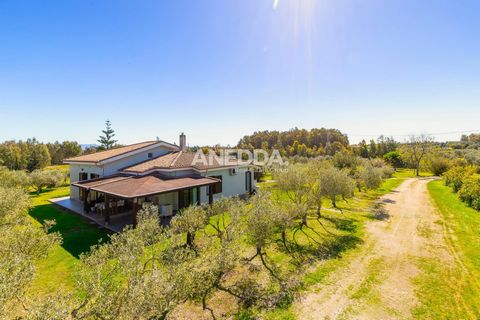 Detached Villa Surrounded by Nature in Decimomannu Situated in a quiet, private location and surrounded by lush vegetation, this detached villa is an oasis of peace and comfort. Featuring an eye-catching design that expertly blends rustic and modern ...