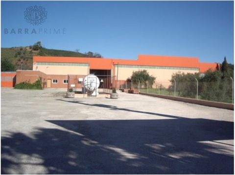 Two adjoining warehouses, interconnected to each other and with independent entrances from the public road, inserted in 10 000 m2 of land, of which 2049 m2 plus 2520 m2, making 4569 m2 of covered and registered area. It has borehole water, mains wate...