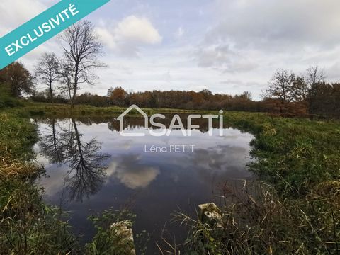 Are you looking for an investment opportunity in the tourist accommodation sector? Let me introduce you to this developable land in a Leisure Residential Park, ideally located in Sologne, just 30 minutes from Blois, 20 minutes from Château de Chambor...