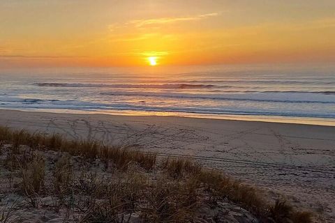 Deze aangename villa, gelegen in Cap Ferret, ligt dicht bij de oceaan, tennisbanen, restaurant Le Sail Fish en de markt allemaal op loopafstand. Het ligt ook dicht bij alle voorzieningen (Ferret-centrum, markt, vuurtoren, enz.), een perfecte locatie ...