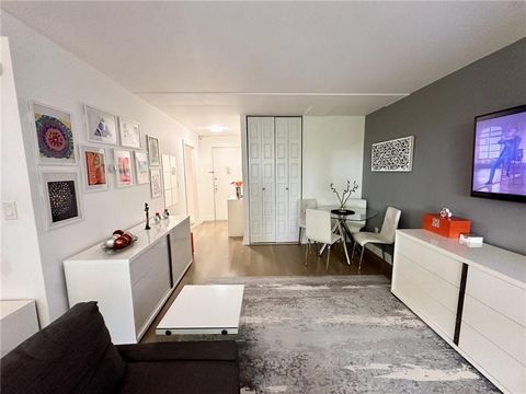 A delightful, fully renovated studio apartment feels like one bedroom with ample space. Available furnished or unfurnished for sale. Pack your bags and move right in. It features large windows, hardwood floors throughout, lots of storage, a new bathr...