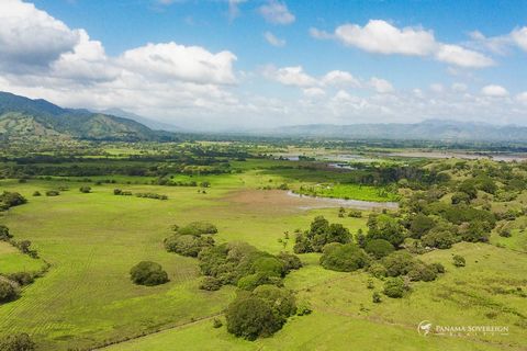 Dieses weitläufige, 75 Hektar große Grundstück in Bucaro, Panama, ist eine klassische Chance für nachhaltige Entwicklung. Einst eine Rinderweide, wurde das Land sorgfältig aufgeforstet und verfügt heute über blühende bewaldete Hänge, natürliche Quell...