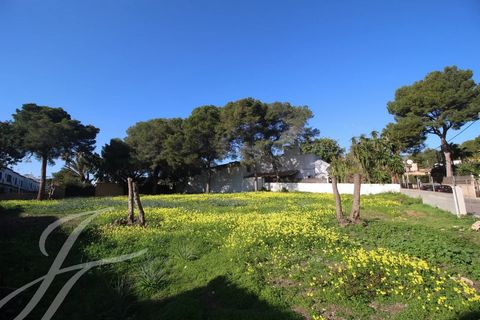 This southwest facing plot is located in a residential street of Palmanova. The boulevard with its numerous restaurants, bars and shops is only a few minutes walking distance away. The beach can also be reached in 5 minutes. At only a few meters from...