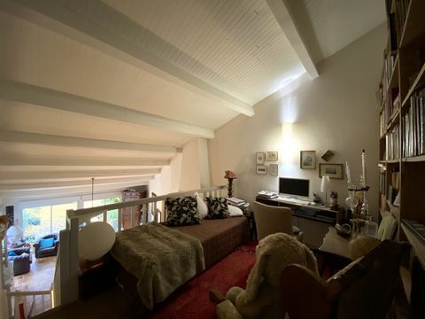 photo no. 13