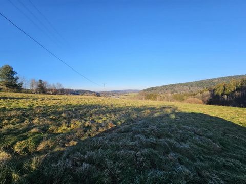 À VENDRE – Terrain constructible de 4 010 m² Découvrez ce magnifique terrain de 4 010 m² situé sur la commune du Val d'Ajol. Avec une vue imprenable et un environnement paisible, il est parfait pour concrétiser votre projet de construction. Superfici...