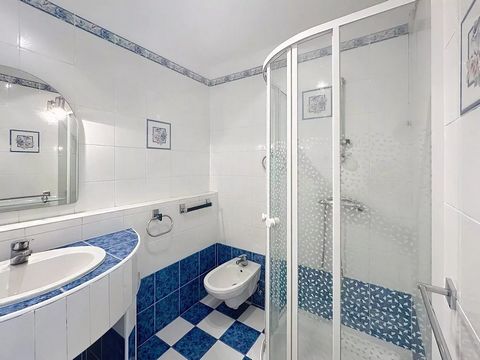 photo no. 12
