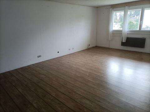 photo no. 6