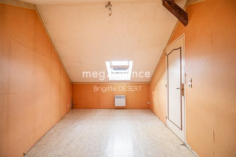 photo no. 13