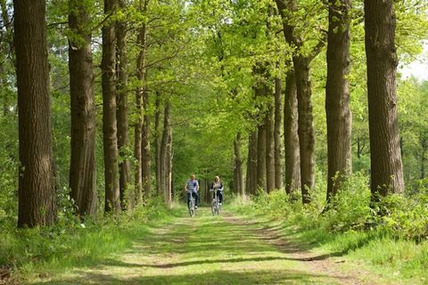 This spacious and dog-friendly holiday home in Scherpenzeel offers the perfect retreat for families or groups of up to 6 guests, including your furry companions. With a floor area of 103 m², the home features three comfortable bedrooms, each with twi...