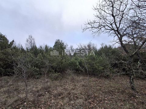 Location: Istarska županija, Svetvinčenat, Štokovci. Agricultural land for sale near the main road in rectangular shape. The area of the agricultural land is 1820 m². The land has public access via a public road. ID CODE: 1539 Masimo Prodan Mob: +385...