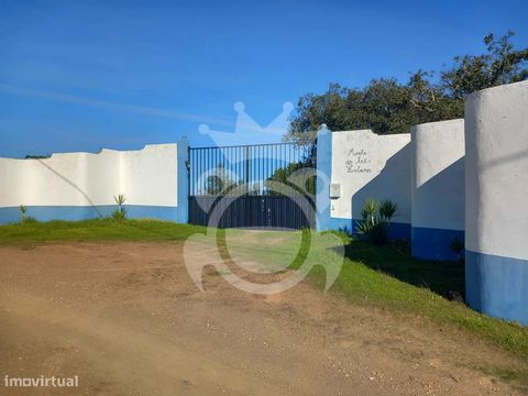 Monte Alentejano – The Perfect Getaway in Alentejo Discover this charming Alentejo hill in the heart of the municipality of Serpa, ready to provide you with comfort and tranquility. Set on a 6-hectare plot, this property offers the ideal combination ...