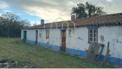 Land with house to recover in a beautiful area in Gasparões, Ferreira do Alentejo in Beja. It is a property with a total land area of 28,306m2 (2.8ha) totally flat with a typical house to recover. The house consists of a ground floor with six (6) roo...