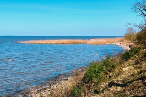 Mooie vakantiehuiszon tussen de Szczecin-lagune en Ückermünder Heide. Ideaal voor gezinnen met kinderen en honden. Gelegen in het vogelreservaat op 100 m van het bos en 800 m van het water. Er zijn prachtige wilde stranden in de buurt waar u kunt zwe...